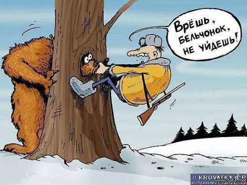 Бельчонок