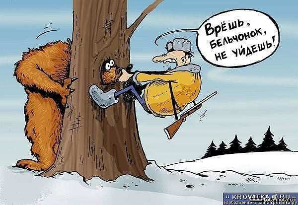 Бельчонок