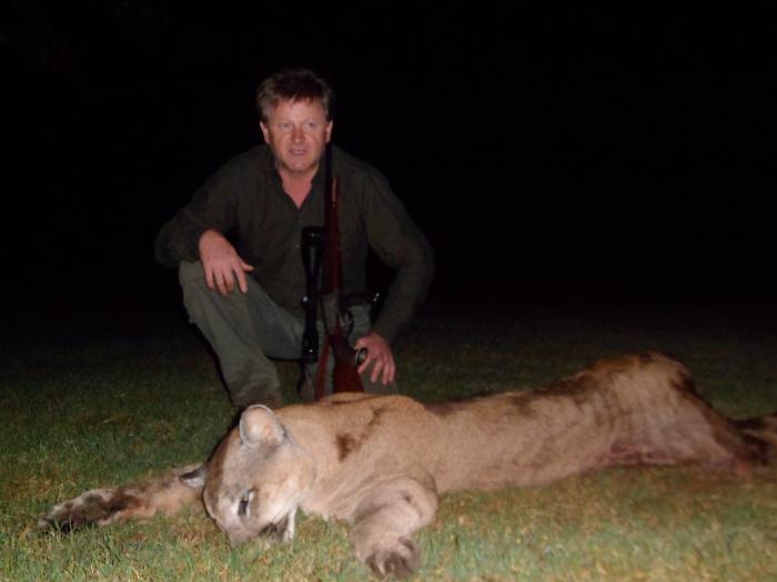 Puma hunt in Argentina