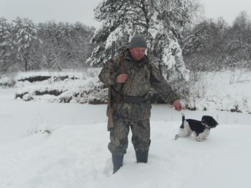 В поиске зайца.