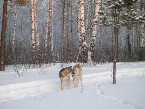 на прогулке
