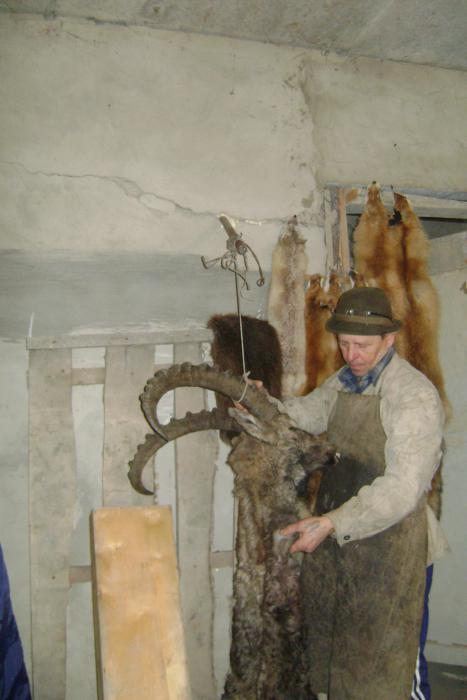 Работа с головой Козерога....