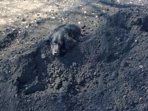 Сначала и не найдёш.