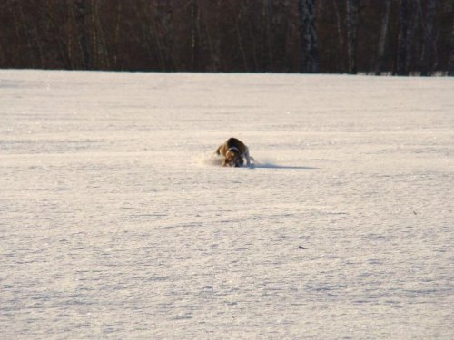 Врюхался