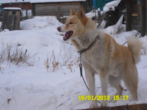 Гром