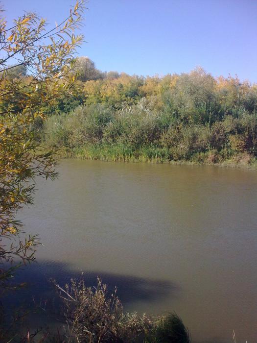 Осень....Река....
