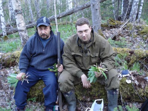 За черемшой.