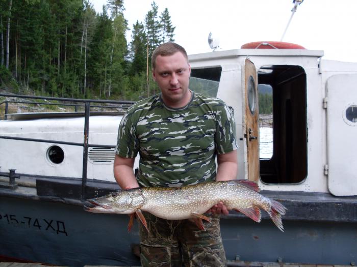 Осень 2011 года.