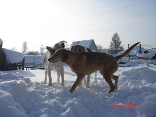 На прогулке...