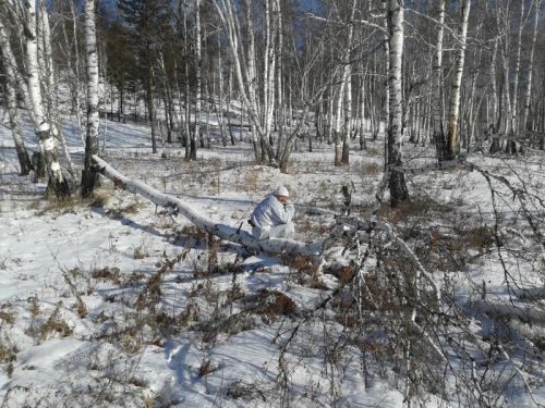 Дальше не пойду!))30.12.2012.