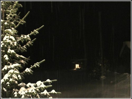 Обыкновенная сибирская, дождливая, зимняя ночь..