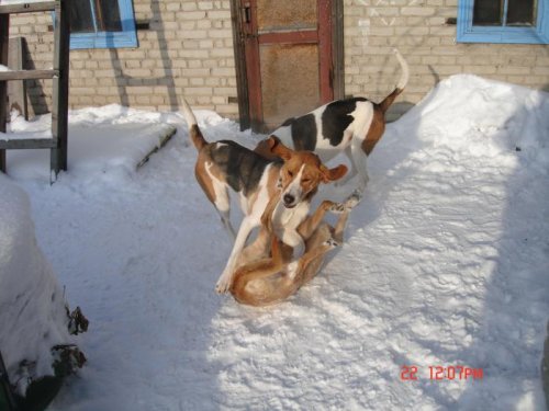 Неравный бой.