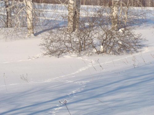 Перекрёстки
