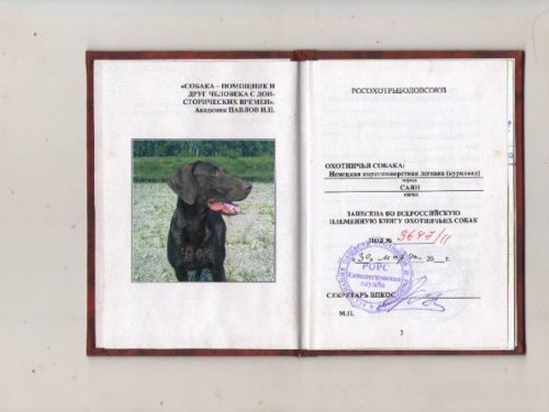 паспорт