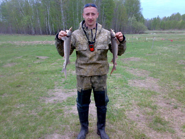 Улов