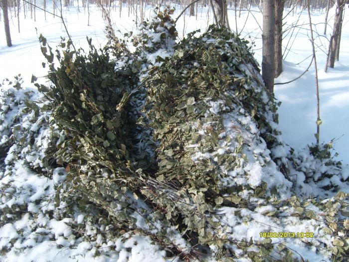 Веники для коз.