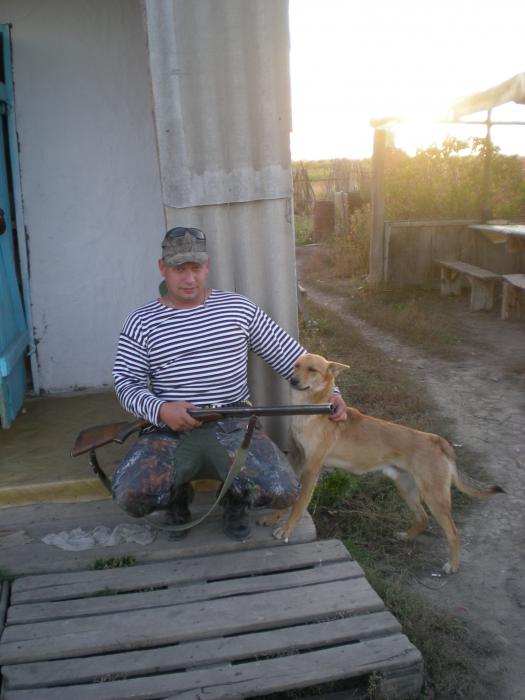 на пасеке