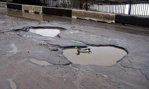 Вот где надо охотится 