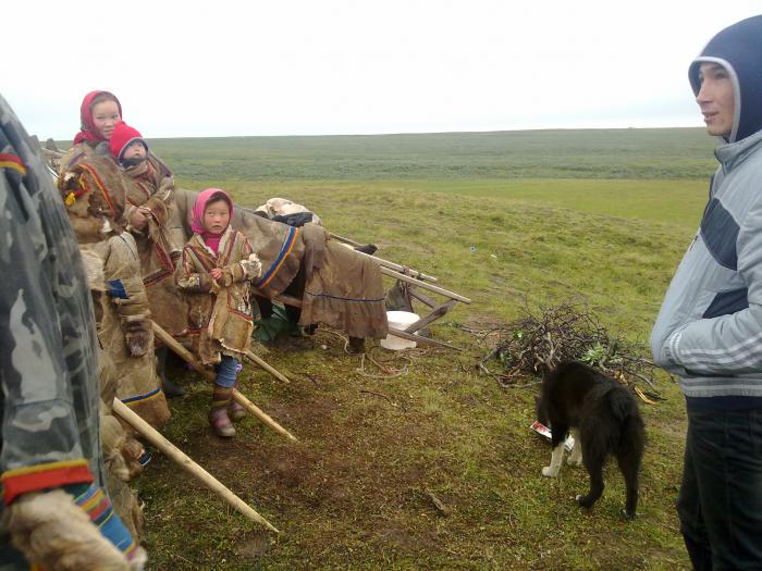живут же люди.