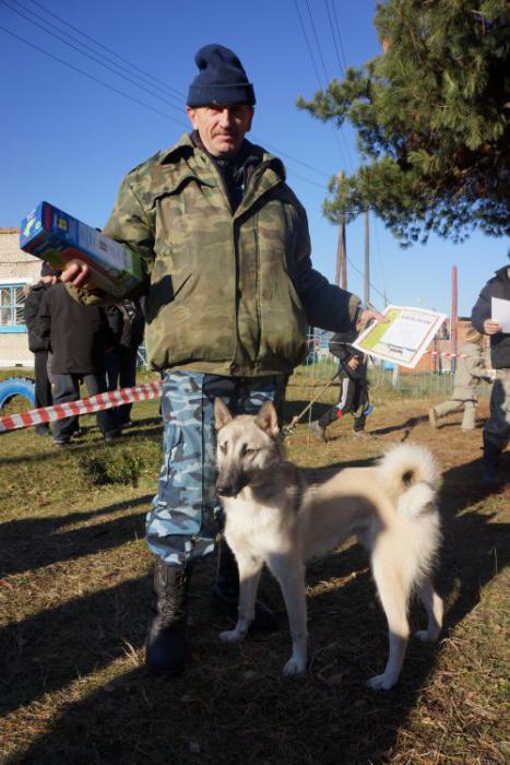 выстовка 2012г