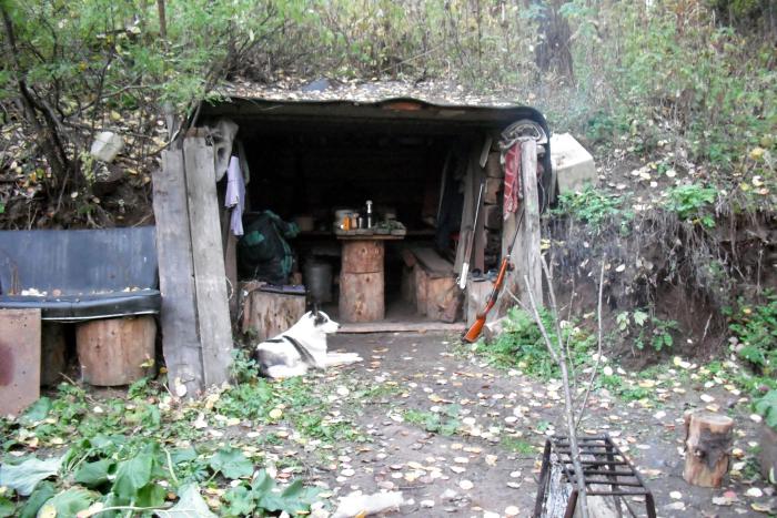 "Номер люкс" с открытым видом на лес