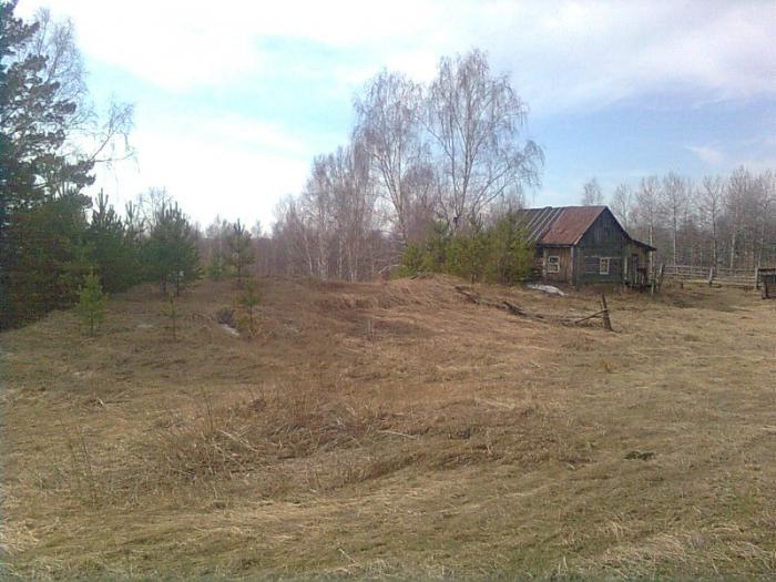 Моя избушка в лесу.... теперь уже сгоревшая((((