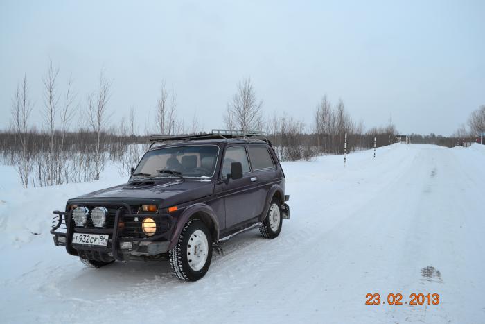 помошник в охоте