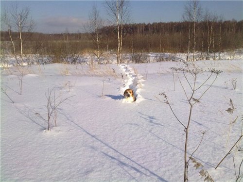 СНЕГА ВАЛОМ