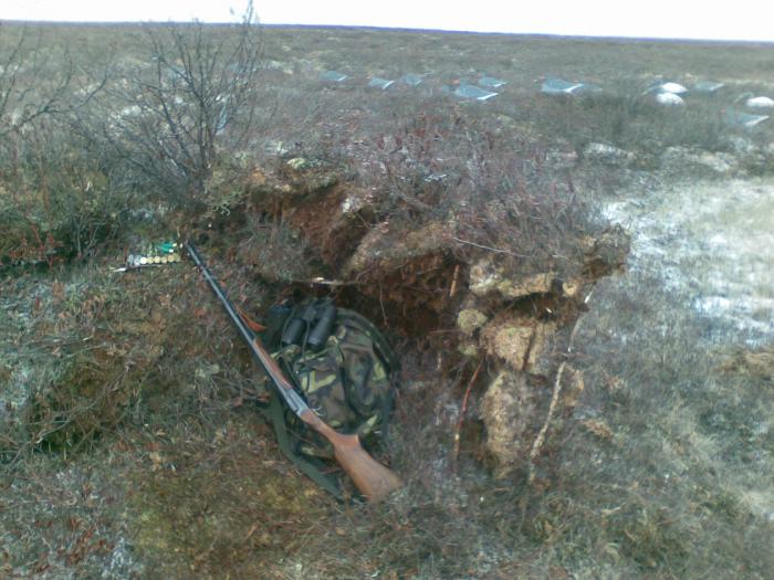 Начинания (из архива )))) )