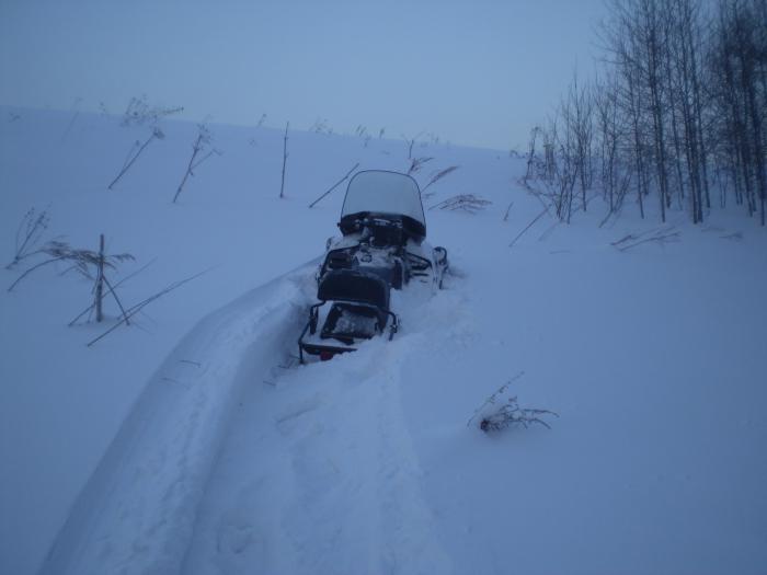 Приехал-1