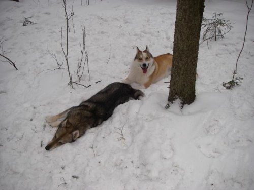 Наигрались...