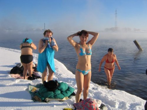 суровые якутские моржихи