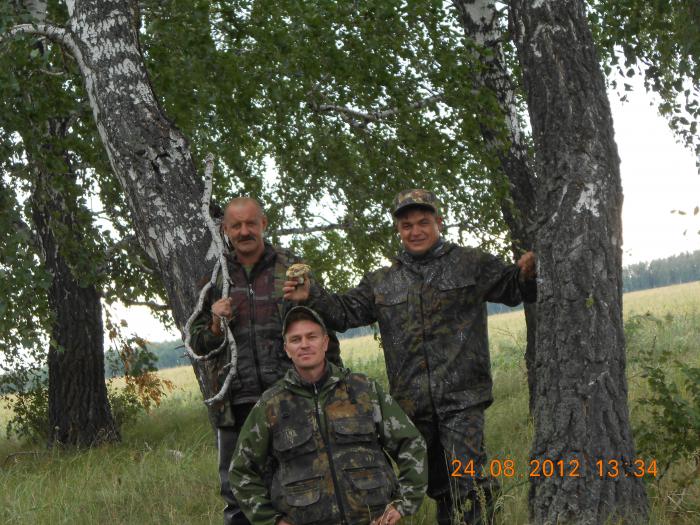 Почти бригада
