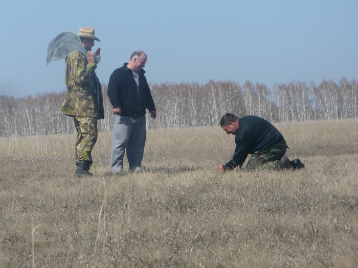 Постановка профилей.