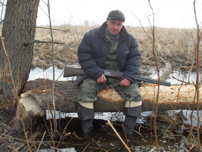 Спаси дерево,убей бобра.