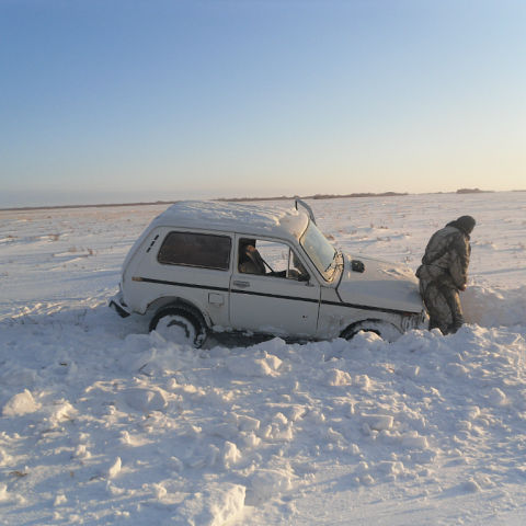 а это только ноябрь месяц