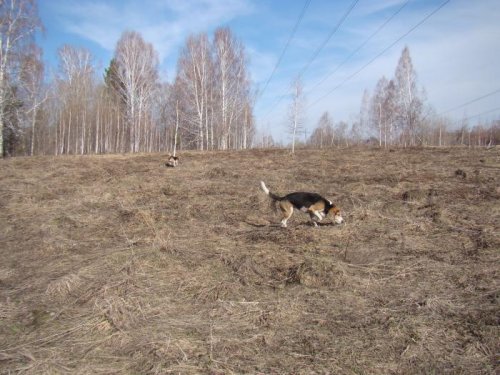 В полазе.