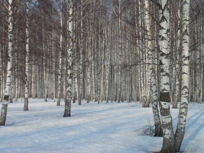 Наша долгожданная весна.