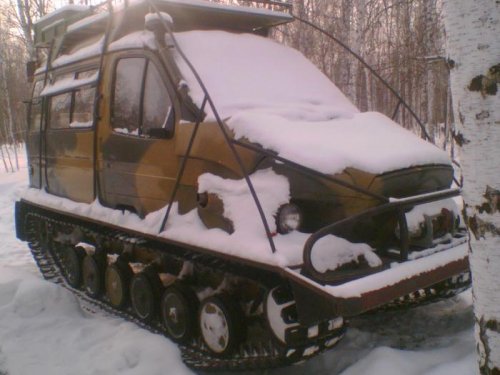 бобр
