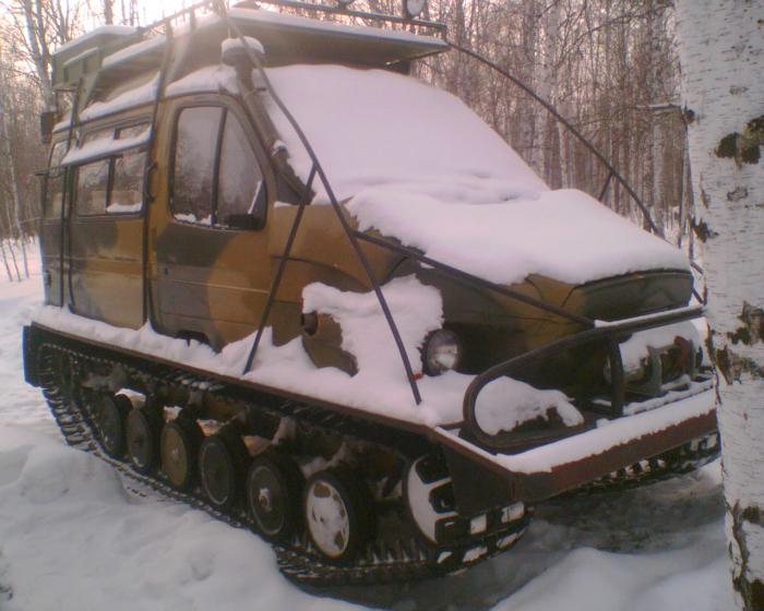 бобр