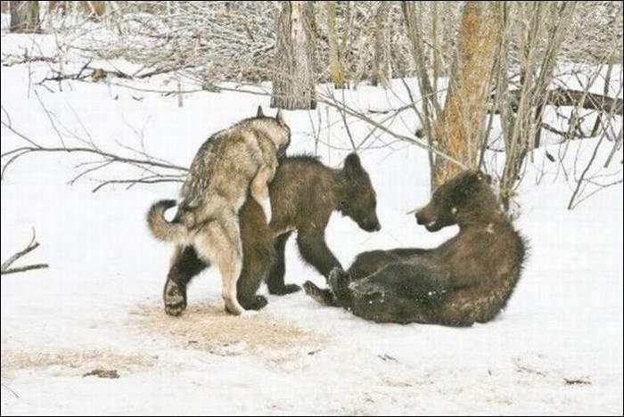 Не поверишь, пока ни сфоткаешь))))))))))