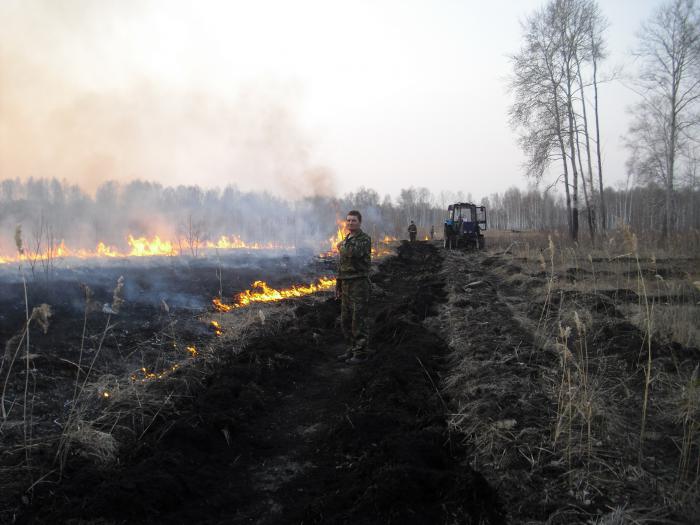 Тушение лесного пожара встречным палом от мин.полосы.