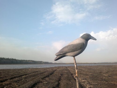 Каркуша))))