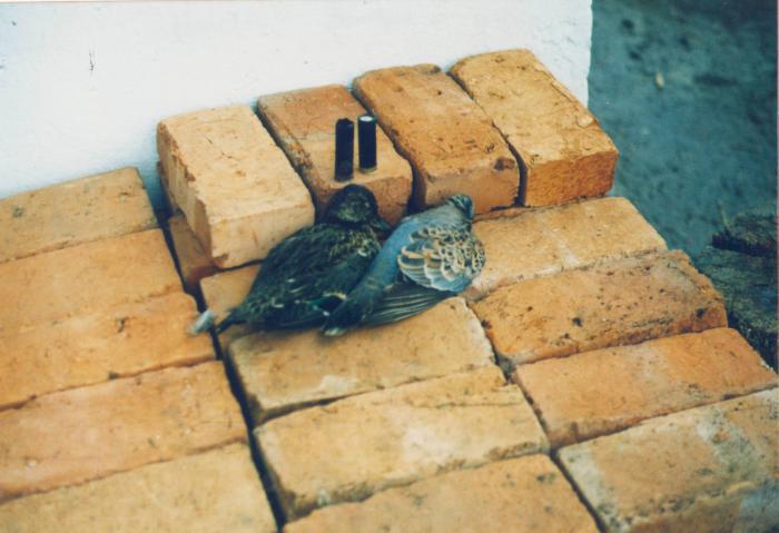 1 сентября 2001 год
