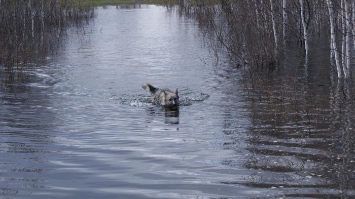 Проба воды
