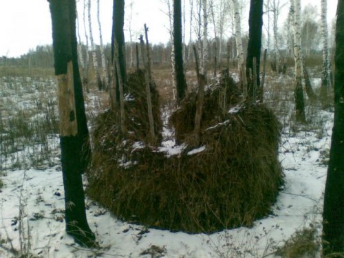 Снежный &quot;Ток...&quot;