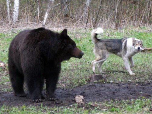 Уп-с... Пожалуй, зайду по-позже...