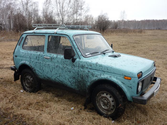 Вывозила нас Нивушка.....