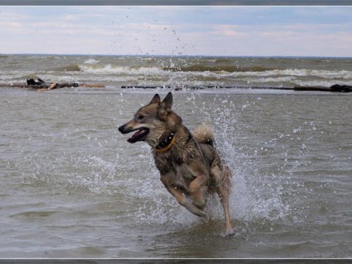 Вода уже тёплая!