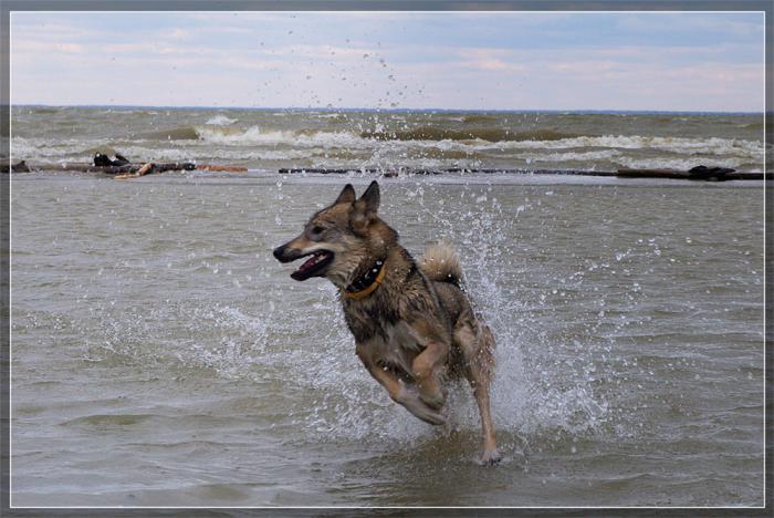 Вода уже тёплая!